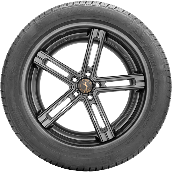 Continental ContiWinterContact TS830P
